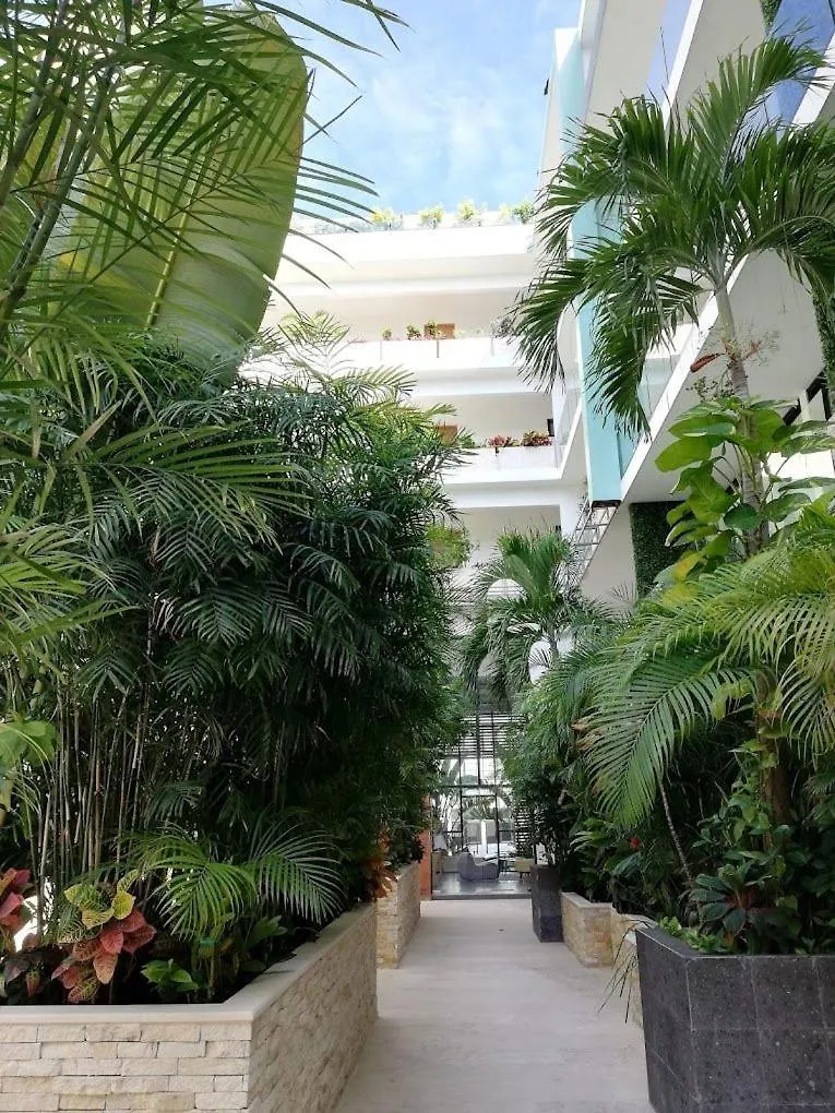 King Suite With Balcony, Pool, Gym And Sauna Playa del Carmen 0*,